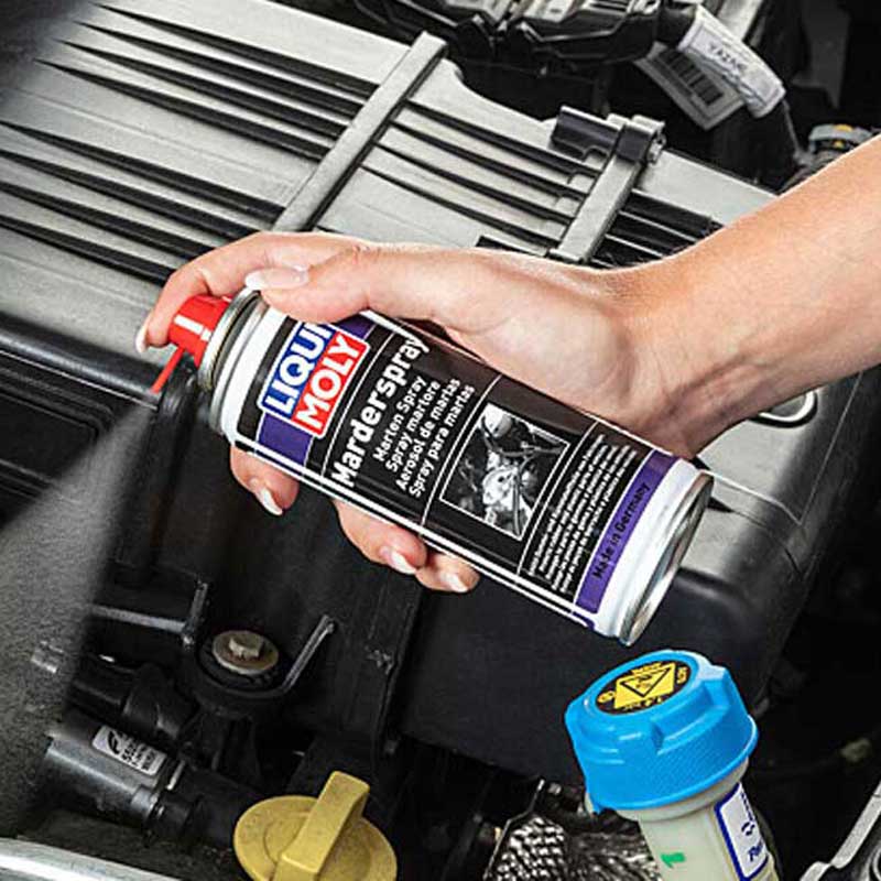 LIQUI MOLY Marderspray Marderschreck 200ml, 1x