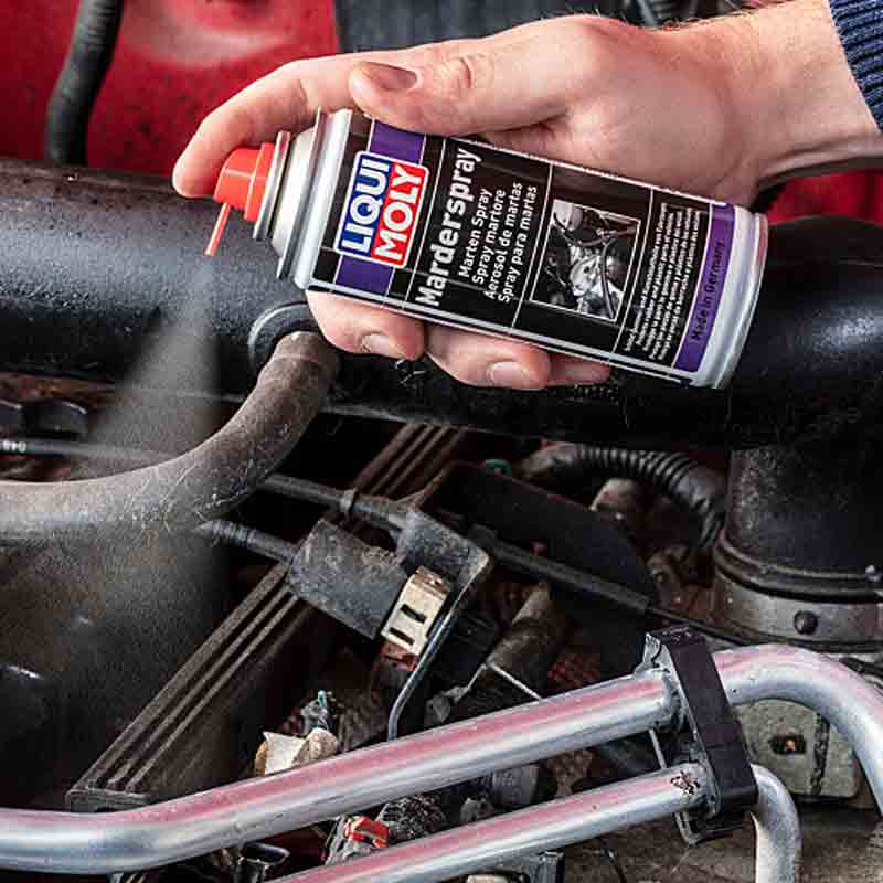 LIQUI MOLY Marderspray Marderschreck 200ml